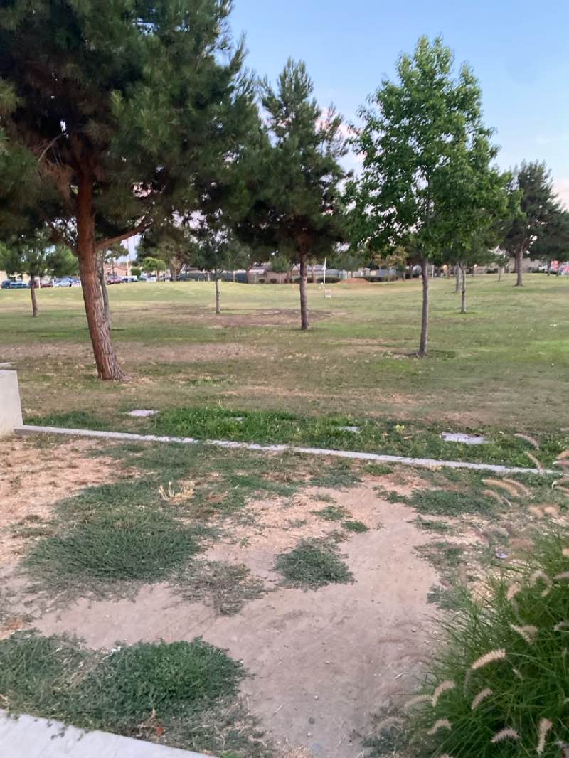 walking near me in Yvonne Burke-John D. Ham Park in summer