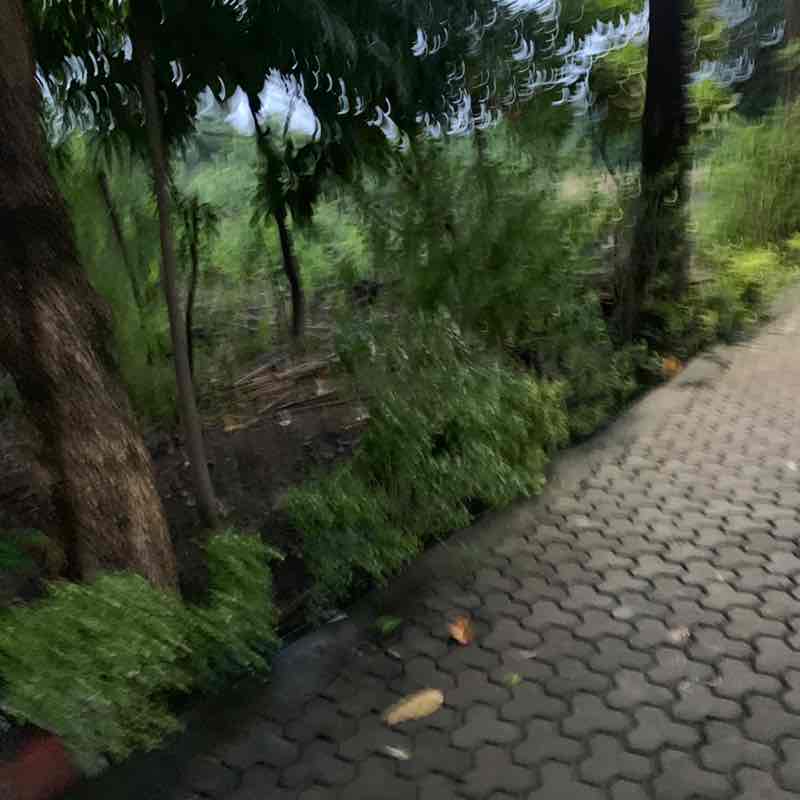 Sunil K 🍇🍓🍎🍏🍐 post 1