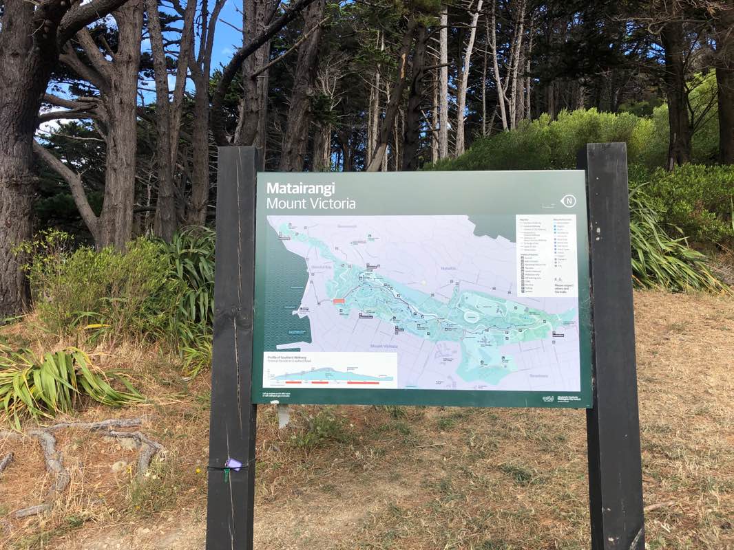 walking near me in Charles Plimmer Park in summer