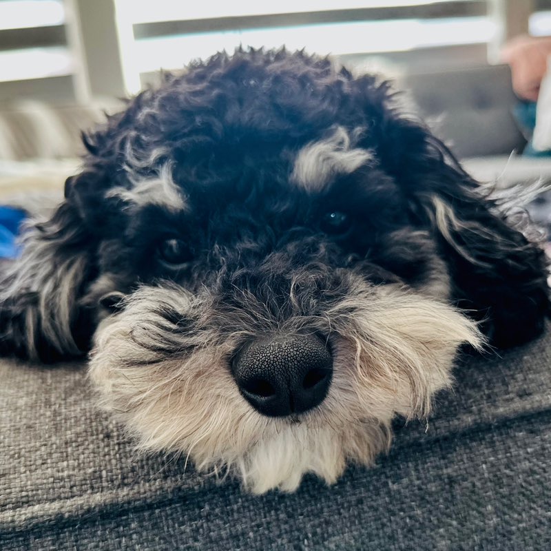 KellyKellyKelly profile