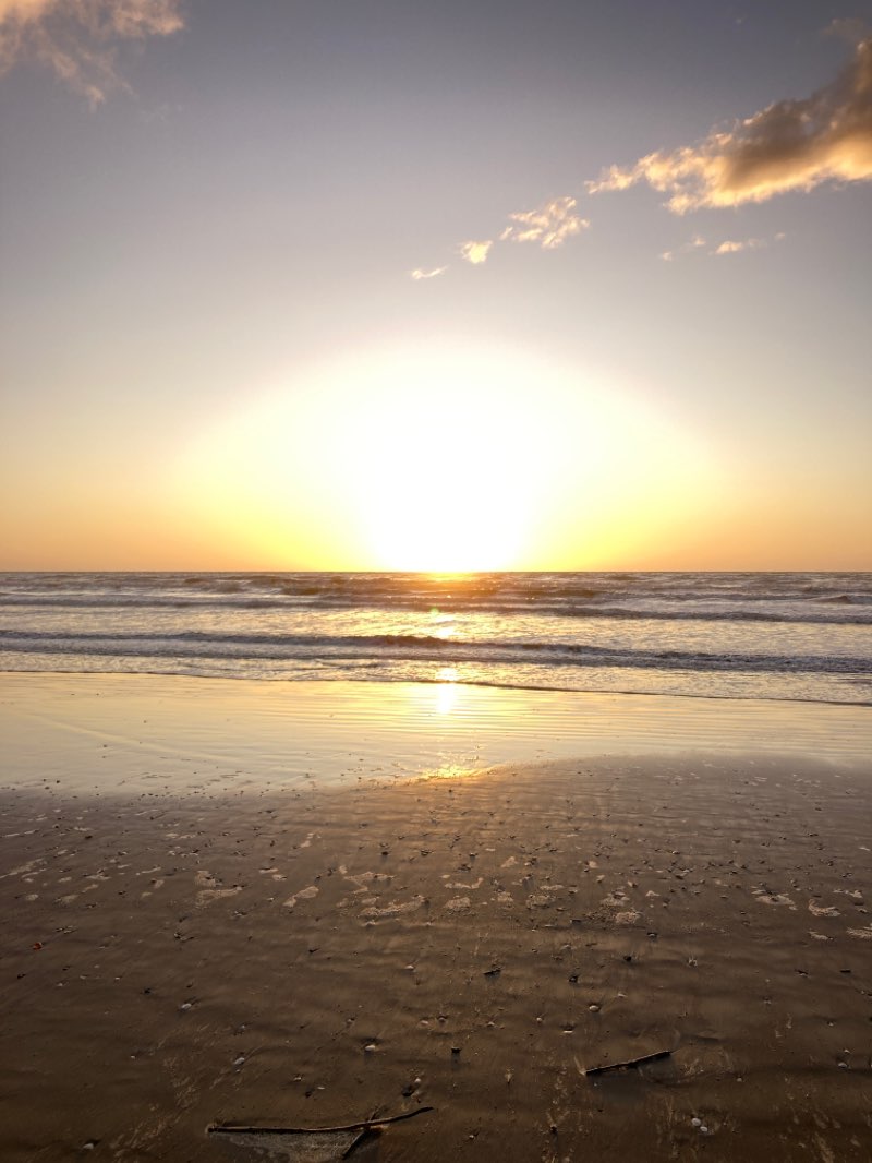 walking near me in Maclean Park in summer