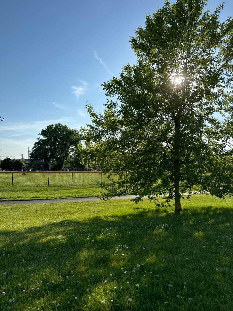 walking near me in Newton Highlands Playground in winter