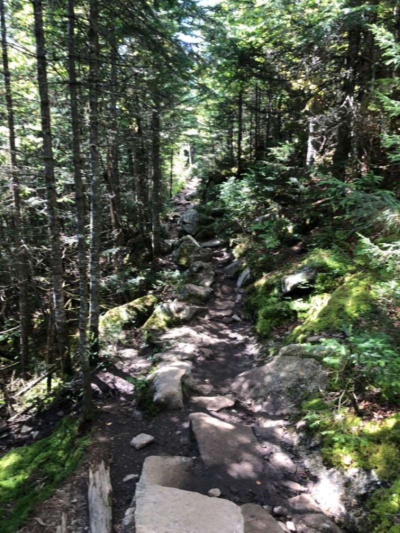 walking near me in Parc national de la Jacques-Cartier in autumn