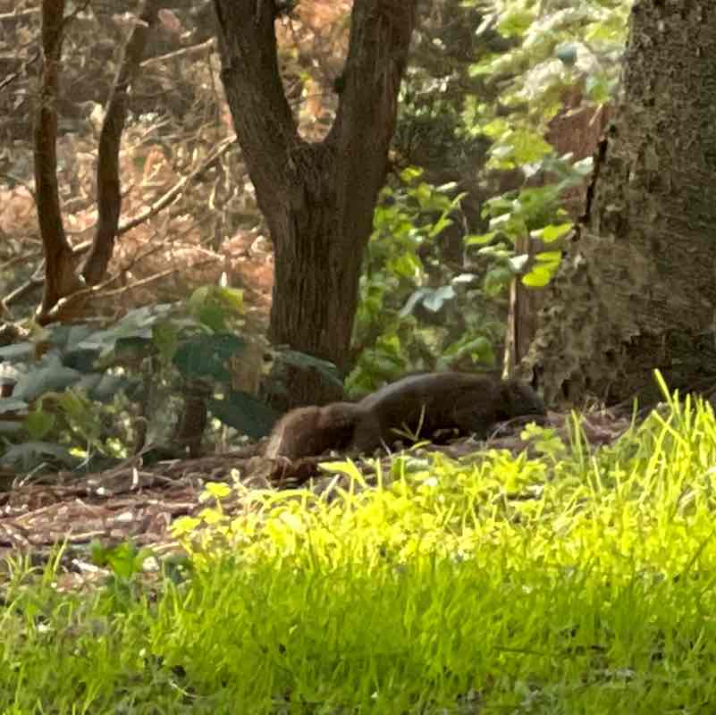 Tsu 足🏌🏿‍♀️⛳️🇹🇼 post 3