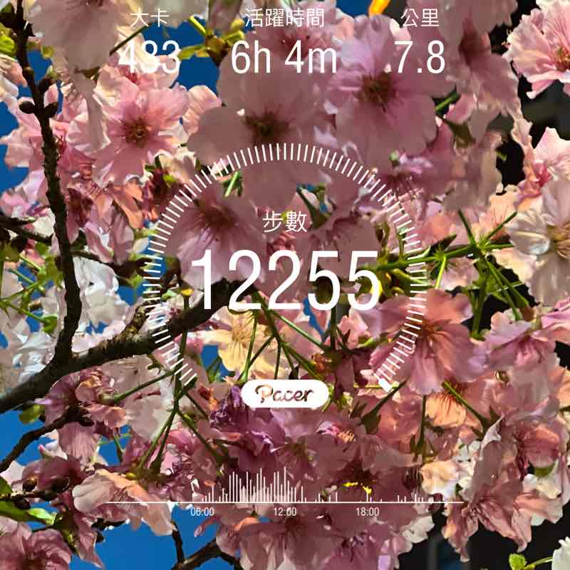 Tsu 足🏌🏿‍♀️⛳️🇹🇼 post 1