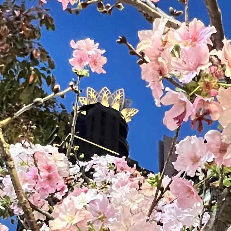 Tsu 足🏌🏿‍♀️⛳️🇹🇼 post 2