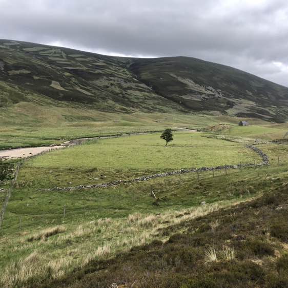 Voyages et découvertes😎 lysianefillancq post image