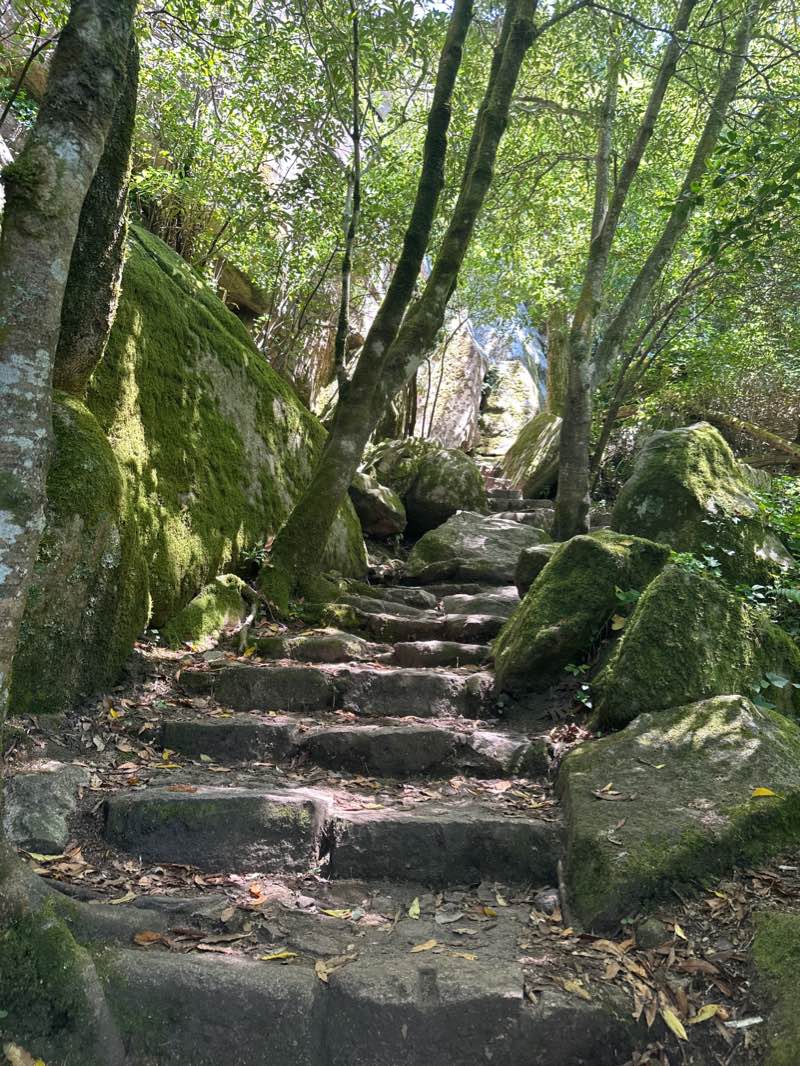 walking near me in Parque das Merendas in winter