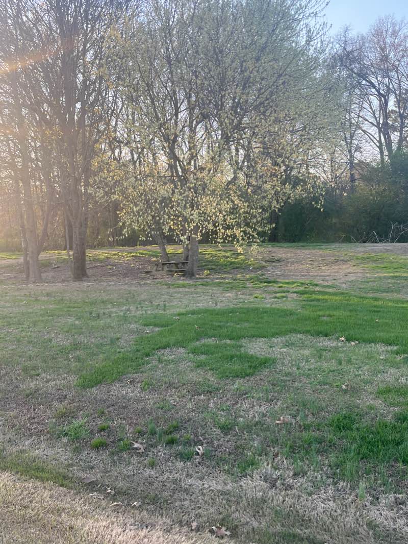 walking near me in Choccolocco Park in winter