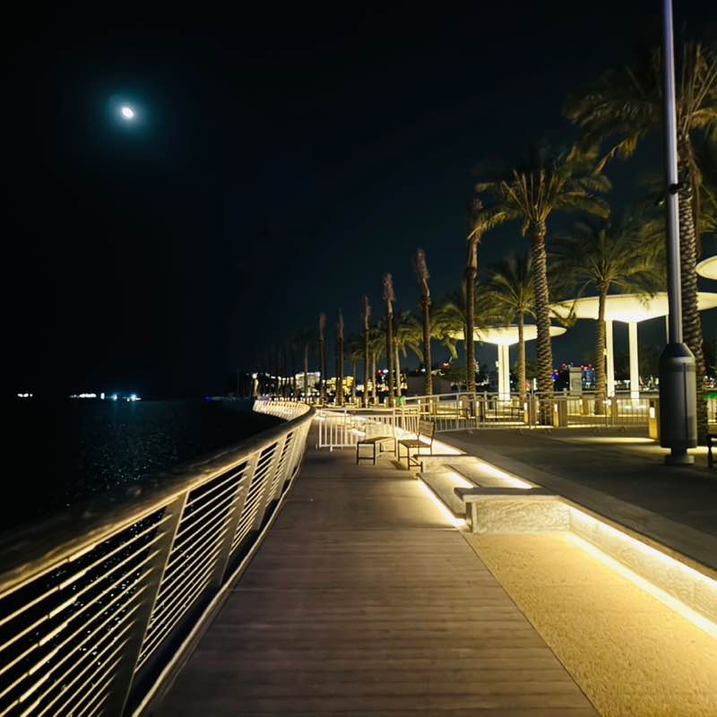 دانة RTNICU post 3