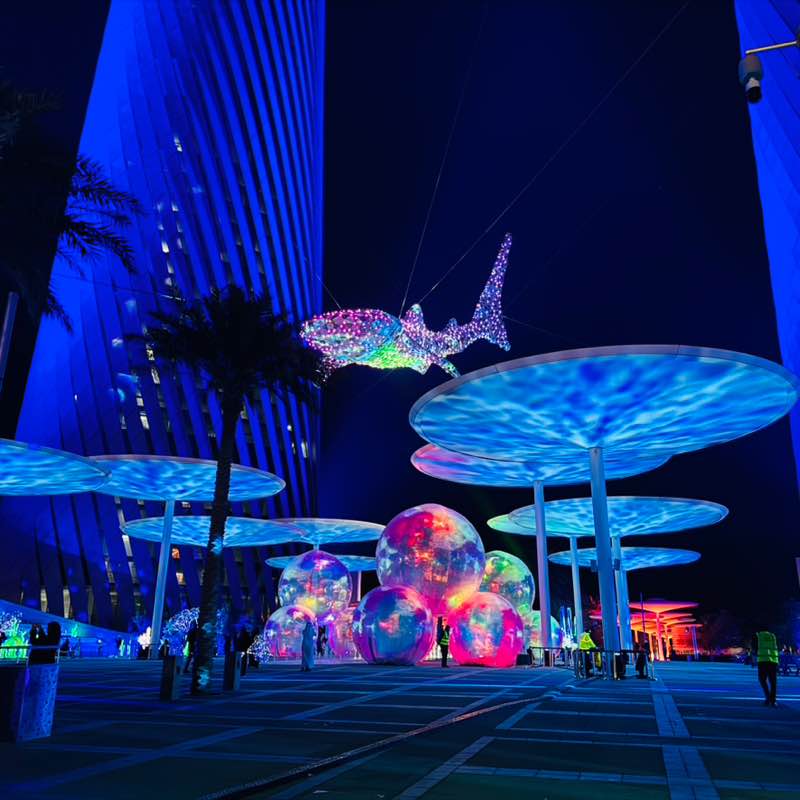 دانة RTNICU post 2