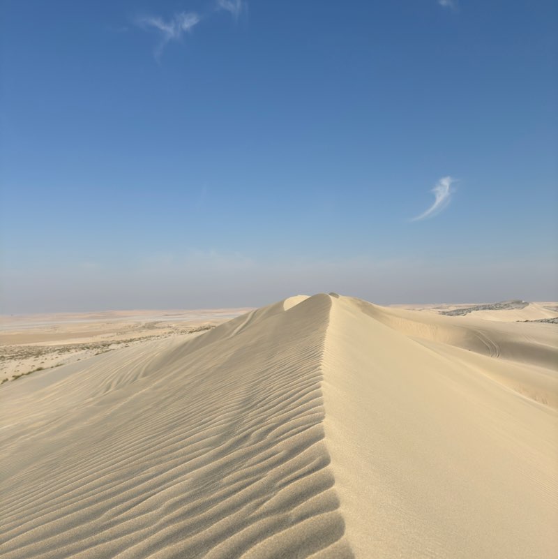 دانة RTNICU post 2