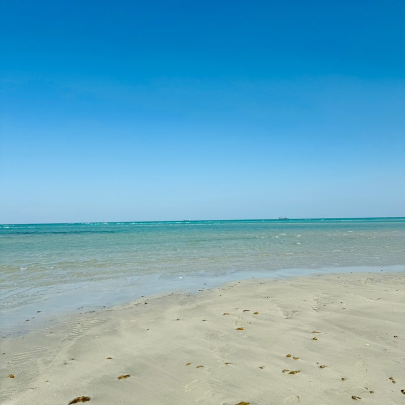 دانة RTNICU post 1