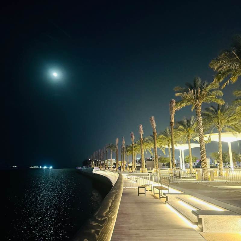 دانة RTNICU post 1