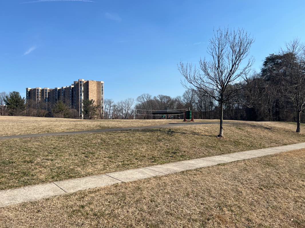 walking near me in Mount Eagle Park in winter