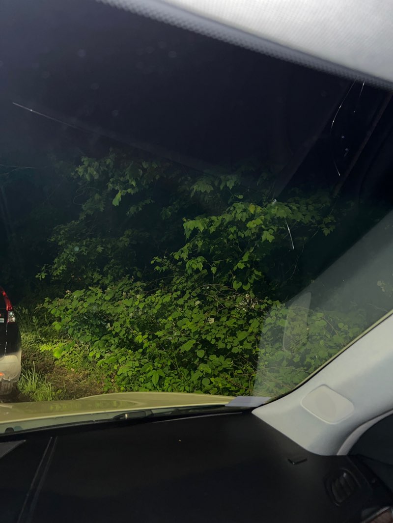 walking near me in Hybla Valley Park in spring