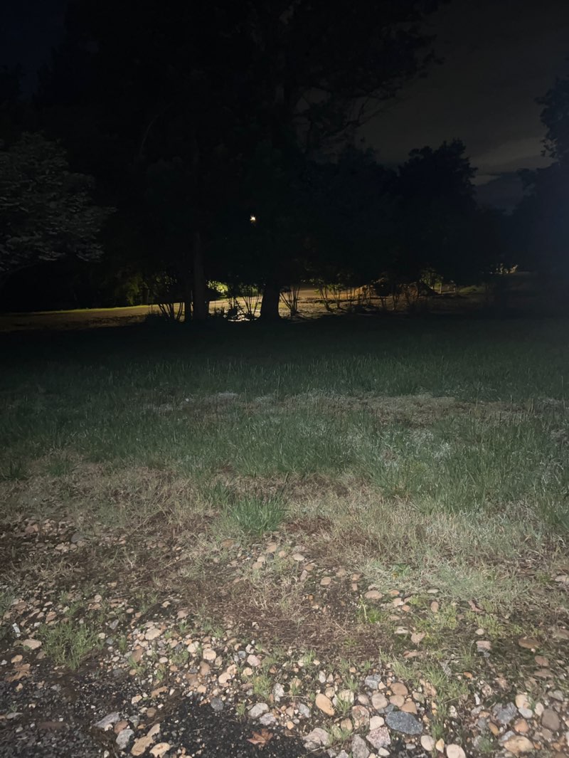 walking near me in Newington Heights Park in spring