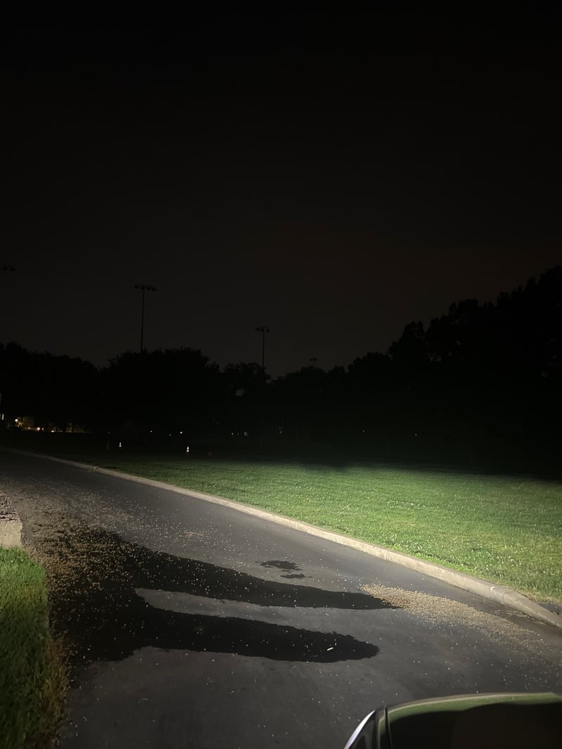 walking near me in Utah Park in summer
