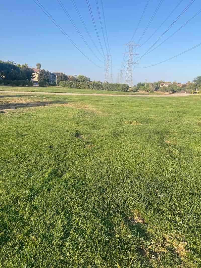 walking near me in West Meridian Park in summer