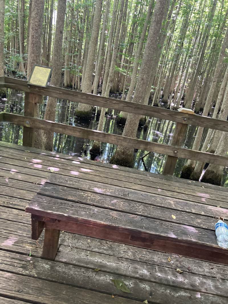 walking near me in Little Ocmulgee State Park & Lodge in winter