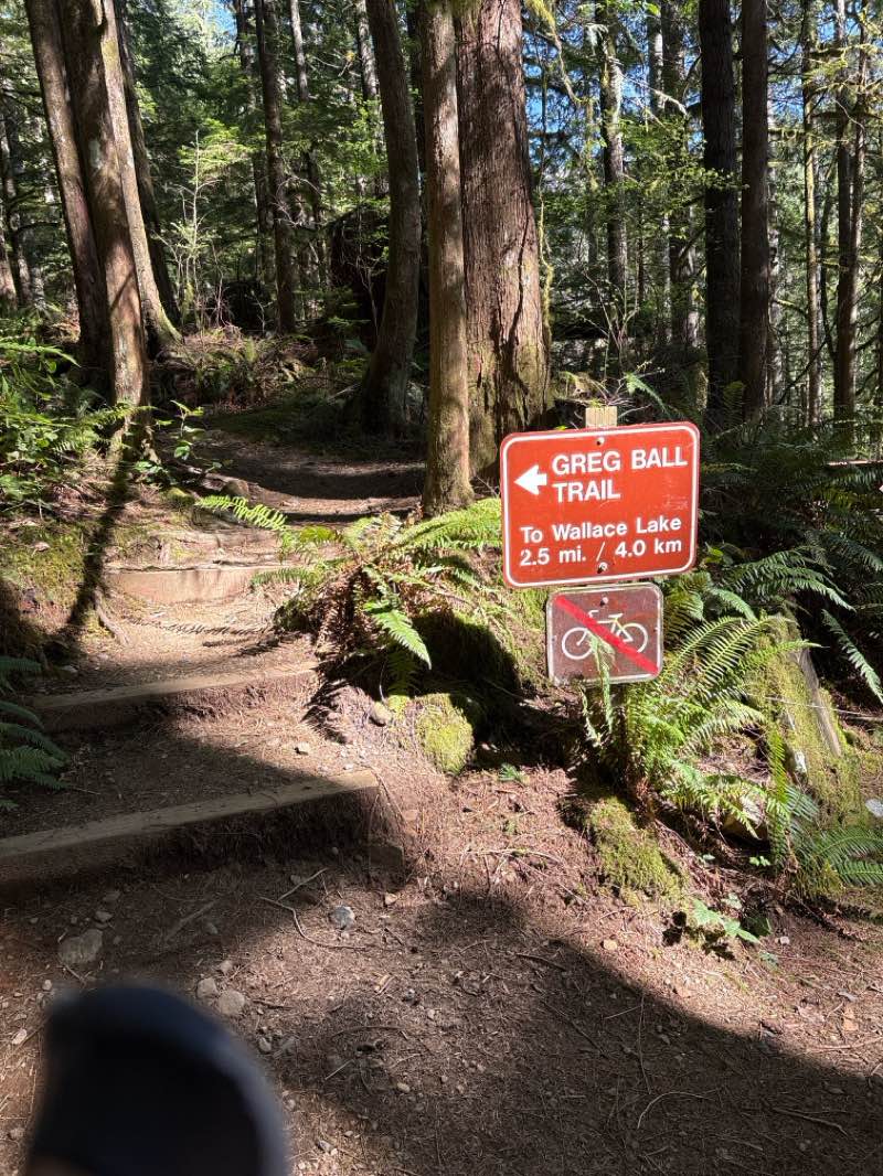 walking near me in Wallace Falls State Park Campground in spring