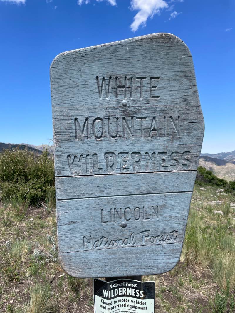 walking near me in White Mountain Wilderness in winter