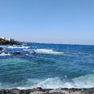 🍒쓰리맘 profile