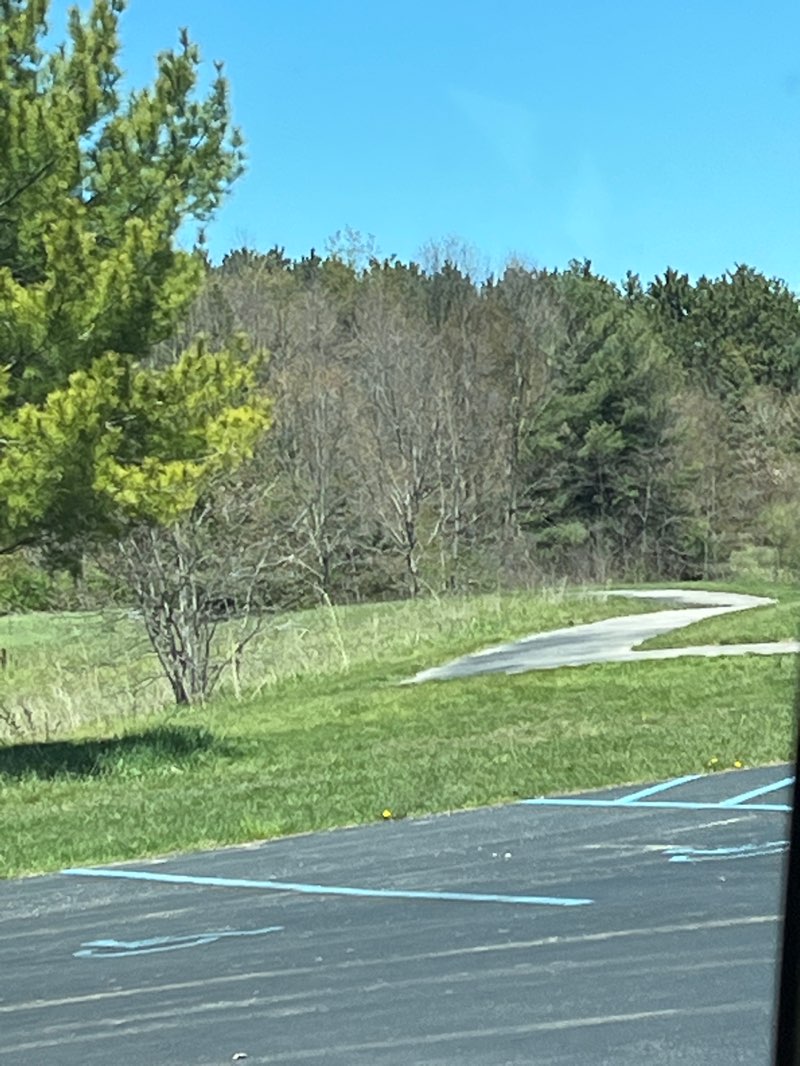 walking near me in East Silver Lake Park in spring