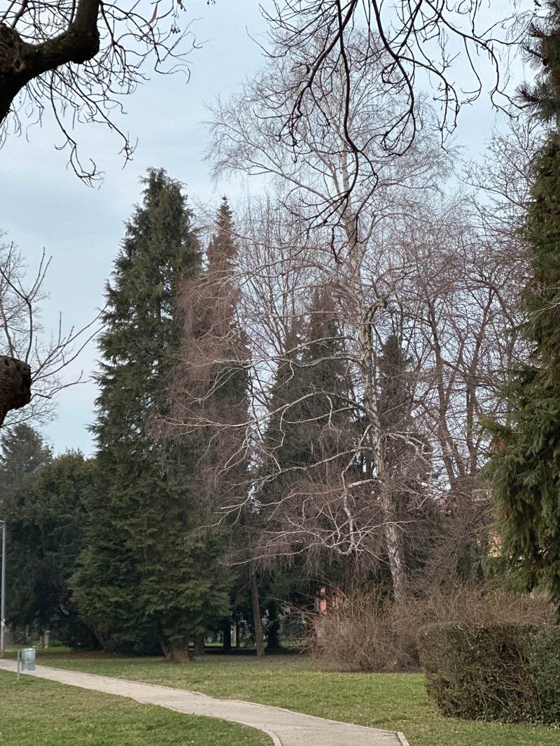 walking near me in Park - Južno naselje in winter