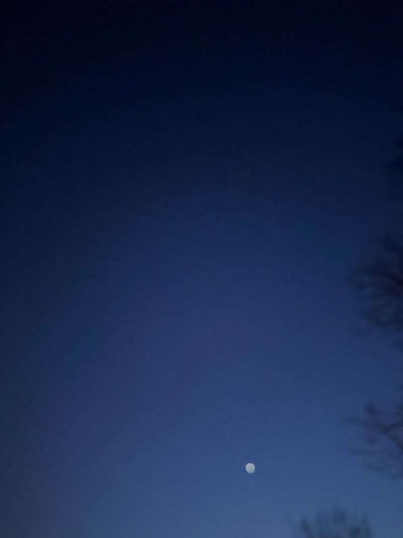 walking near me in Park dragovoljaca Domovinskog rata in winter