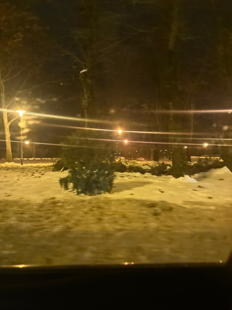 walking near me in Park mladenaca in winter