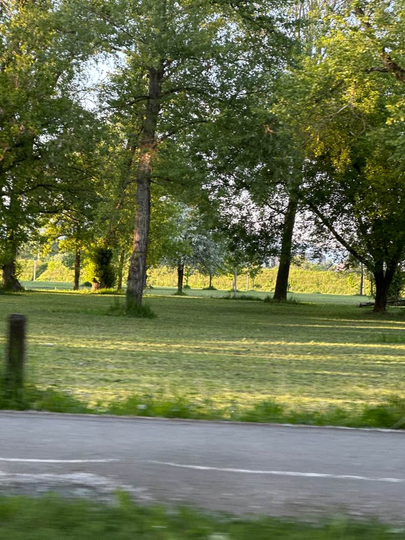 walking near me in Bundek in spring