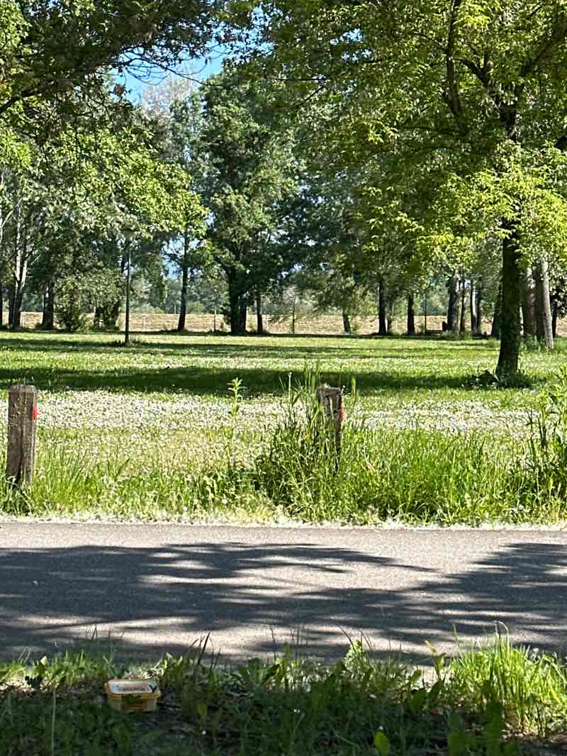 walking near me in Bundek in spring