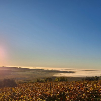 🇮🇹NUOVO-RELAX🇮🇹 Gianfranco post image