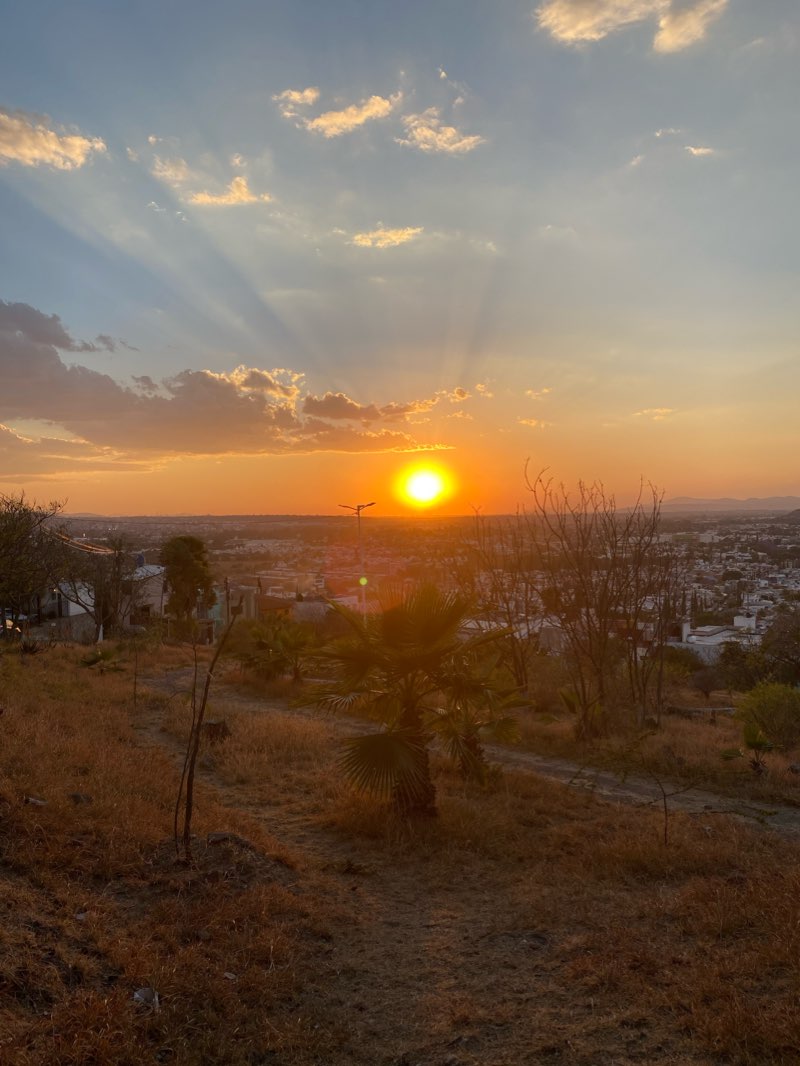 walking near me in Parque Tejeda in winter