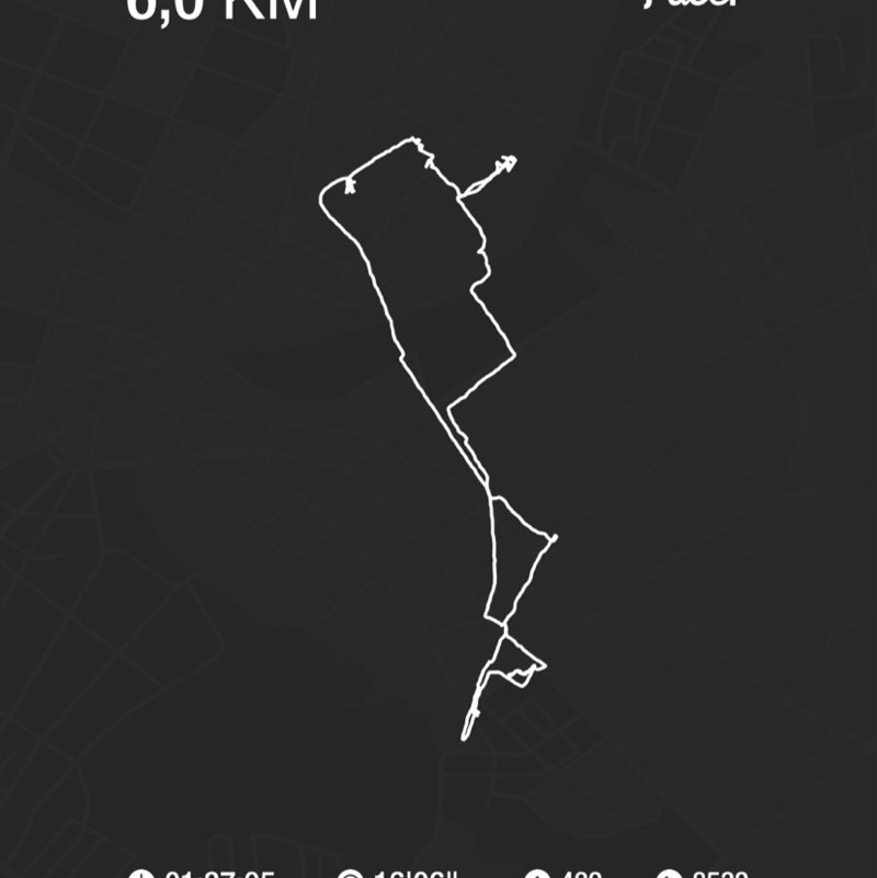 PacerТоварищ post 1