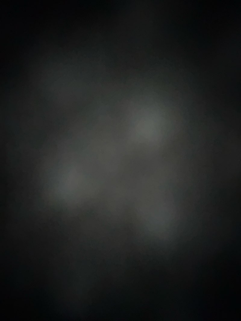 walking near me in Longford Avenue Linear Open Space in summer