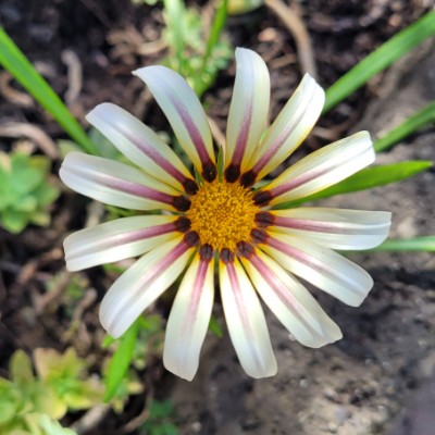 groupe marche à  Sauvian brigitteb34 post image