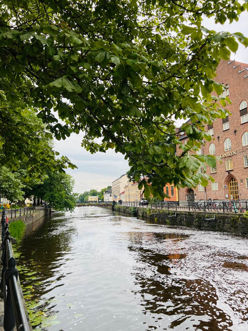 walking near me in Universitetsparken in winter