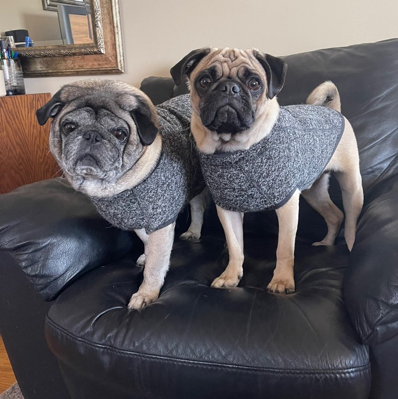 Meg♥️Gus