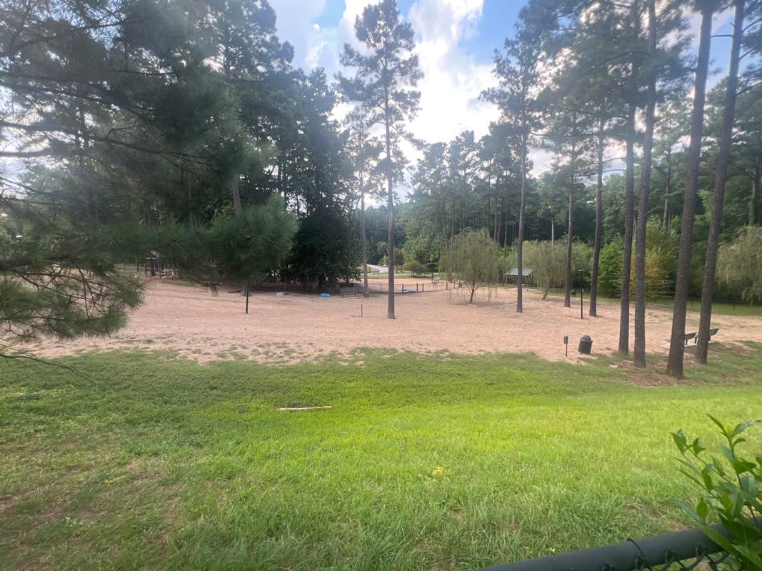 walking near me in Apex Dog Park in autumn