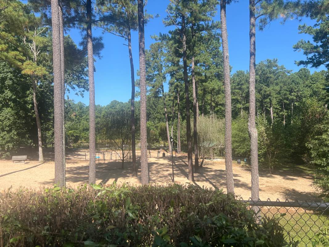 walking near me in Apex Nature Park in autumn