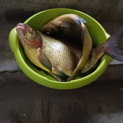 Run Zbyszek Run... 🇵🇱Zbyszek🇵🇱 post image