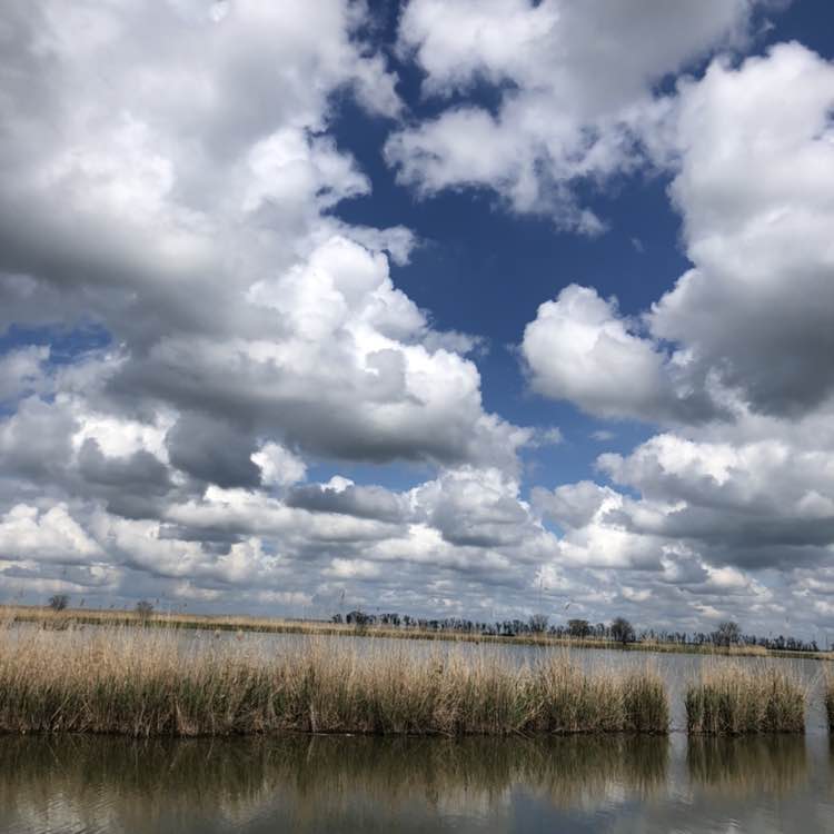 o_kichko 🤍 post 2