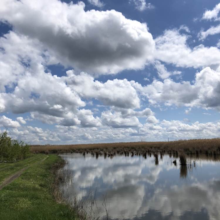 o_kichko 🤍 post 1