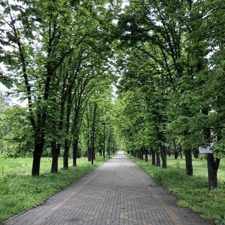 o_kichko 🤍 post 2