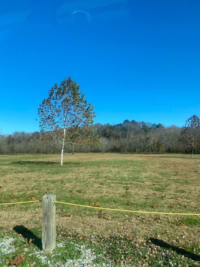 walking near me in Tucker Park at Maidens Crossing in autumn