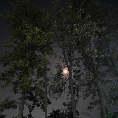 Maersk PTP EM Ajay k post image