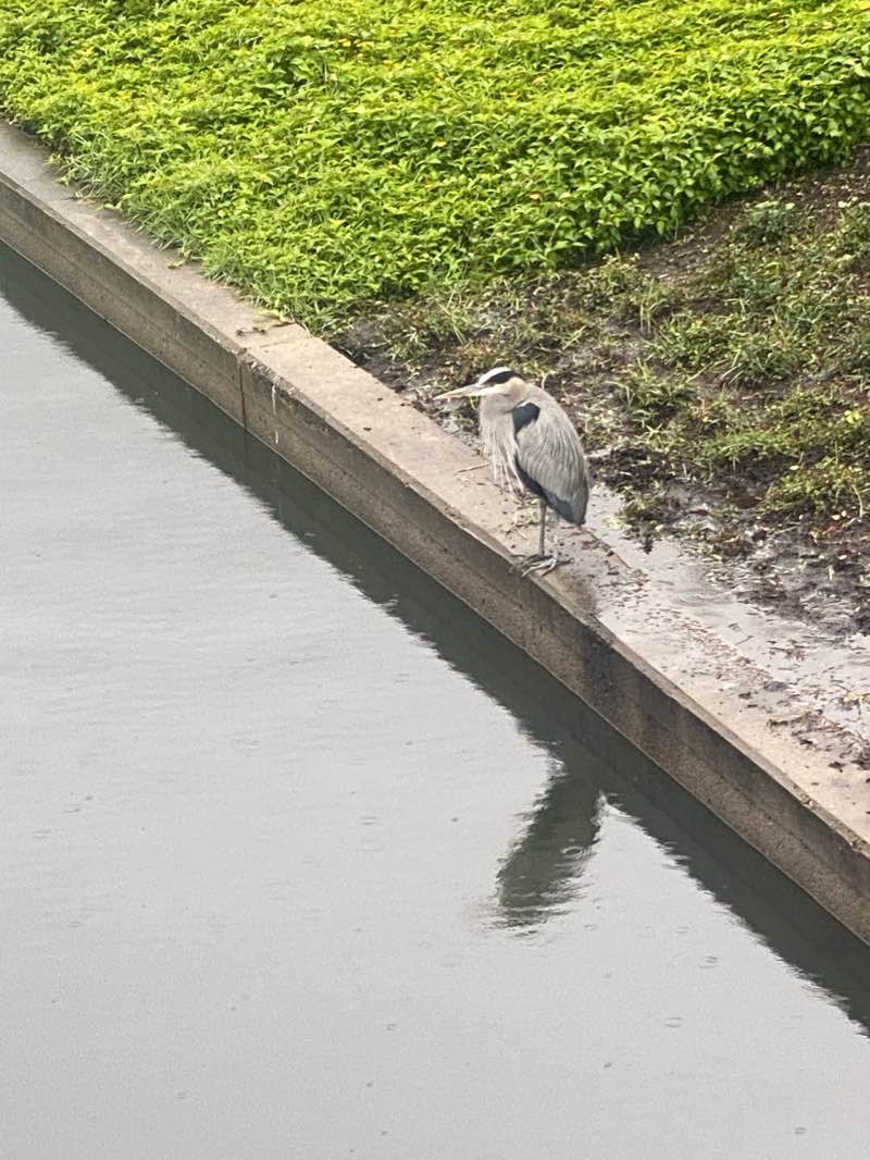 walking near me in South Shore Park in winter