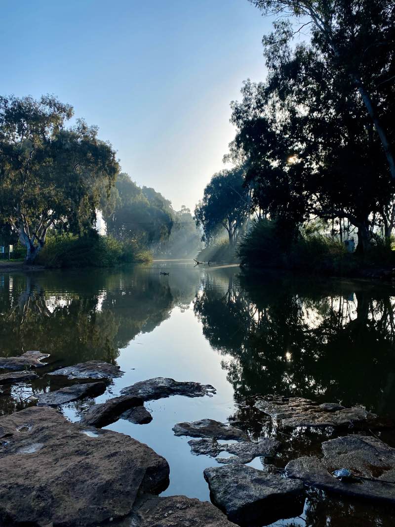 walking near me in HaYarkon Park in winter
